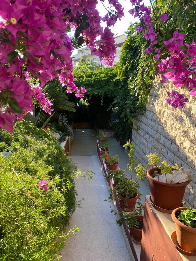 חוואר Villa Tania מראה חיצוני תמונה